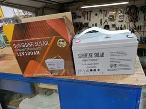 Sunshine 100Ah Maintenance-Free Battery