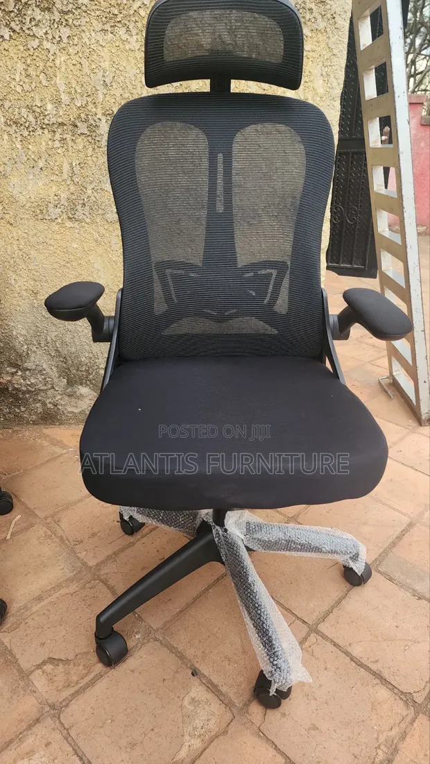 Adjustable Arms Ergonomic Office Chair - 1