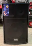 Vildour 10" Top Speaker - 2