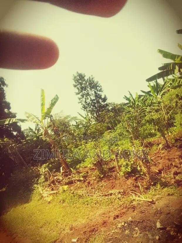 Plot for Sale in Bamunanika - 1