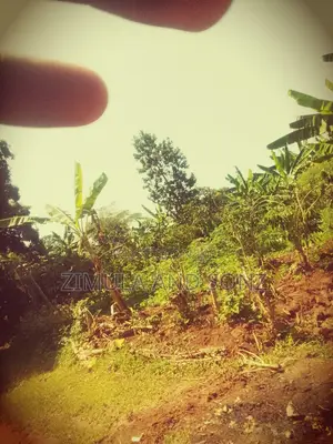 Plot for Sale in Bamunanika