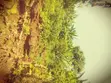 Plot for Sale in Bamunanika - 2