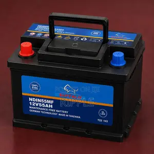 Buffalo DIN55 55Ah 550CCA 12V Maintenance-Free Car Battery