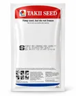 Hybrid Red Cabbage Ruby Queen F1 Seeds (10g) - 2
