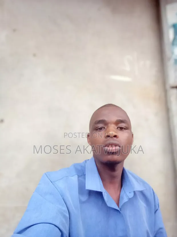 Moses - Unemployed Seeking Accounting/Finance Role - 1