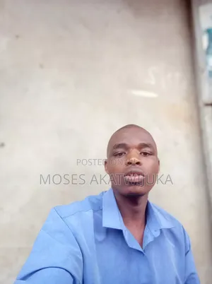 Moses - Unemployed Seeking Accounting/Finance Role