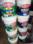 Weather Guard and Silk 20L Paint - 1