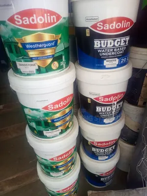 Weather Guard and Silk 20L Paint
