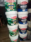 Weather Guard and Silk 20L Paint - 4