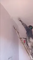 Professional Painting & Color Change Services - 4