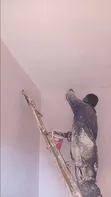 Professional Painting & Color Change Services - 5