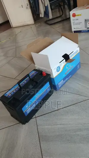 Buffalo DIN95 95Ah 720CCA Maintenance-Free Car Battery 12V