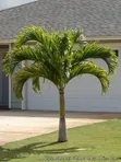 Compound Designing, Landscaping & Artwork Services - 3