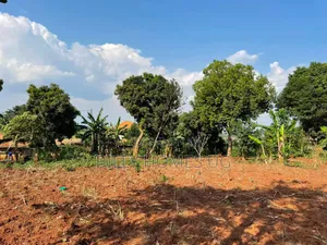 Plot for Sale in Kira-Kimwanyi