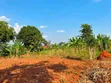 Plot for Sale in Kira-Kimwanyi - 2