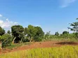 Plot for Sale in Kira-Kimwanyi - 4