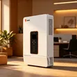 10kVA 48V SRNE Hybrid Inverter - 2