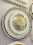 Classy Crystal Centre Ceiling Light - 2