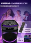 Sonashi Dual 6.5" Rechargeable Speakers with 2 Wireless Microphones - 4
