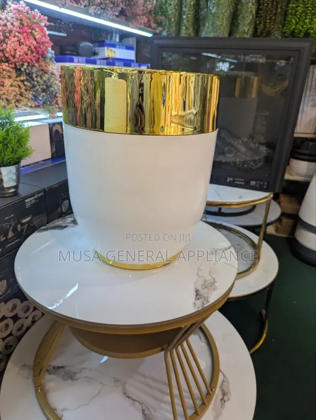 Stylish Flower Decorative Planter Pot - Gold & Silver Rim - 1