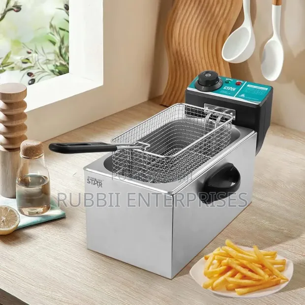 Winning Star ST-9203 4L Electric Deep Fryer - 1