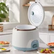 Winning Star 2L Rice Cooker (Model ST-9354) - 3