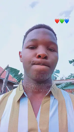 Shop Attendant CV