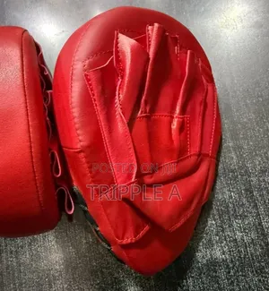 Everlast Curved Focus Mitts