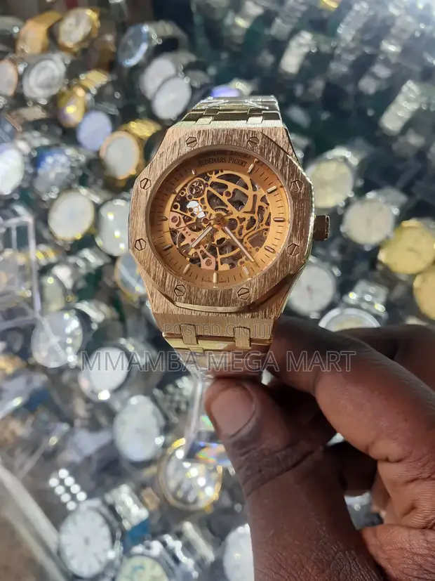 Audemars Piguet Mechanical Watch - 1