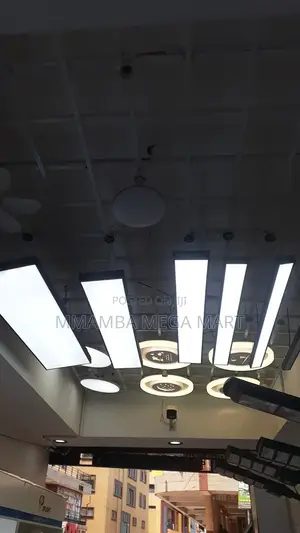 Ceiling Light - Black Aluminium Frame