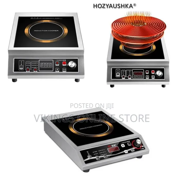 Stainless Steel Commercial Induction Cooker - Single Burner - 1