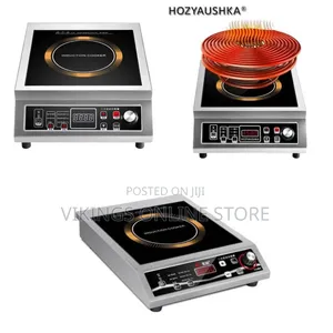 Stainless Steel Commercial Induction Cooker - Single Burner