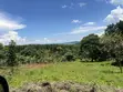 Land for Sale in Katosi, Mukono - Lake View - 2