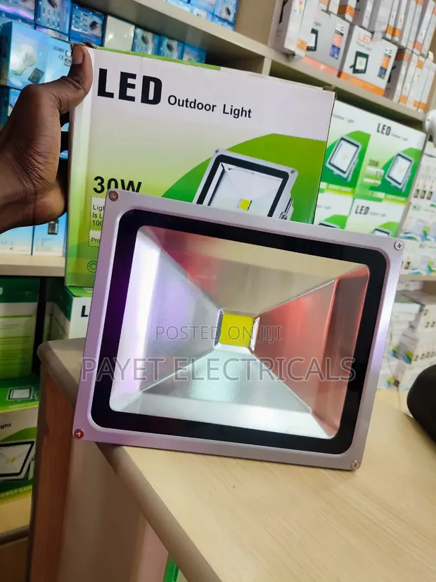 30W Outdoor Security Floodlight - 1
