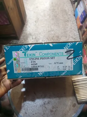 Teikin Piston Kit - Sahara Z16 (Set of 4)