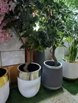 White and Silver-Trimmed Modern Planter - 1