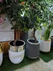 White and Silver-Trimmed Modern Planter - 2