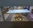 Exness Events: Full Decoration & Event Services - 2