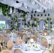 Event Decorations & Planning for Kukyala, Weddings, Birthdays, Introductions - 5