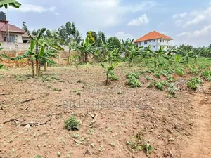 Prime Plot for Sale in Kira-Mulawa