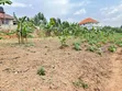 Prime Plot for Sale in Kira-Mulawa - 1