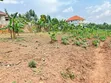 Prime Plot for Sale in Kira-Mulawa - 2