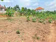 Prime Plot for Sale in Kira-Mulawa - 3