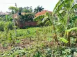 Prime Plot for Sale in Kira-Nsasa - 2