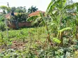Prime Plot for Sale in Kira-Nsasa - 3