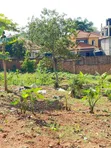 Prime Plot for Sale in Kira-Nsasa - 4