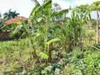 Prime Plot for Sale in Kira-Nsasa - 5