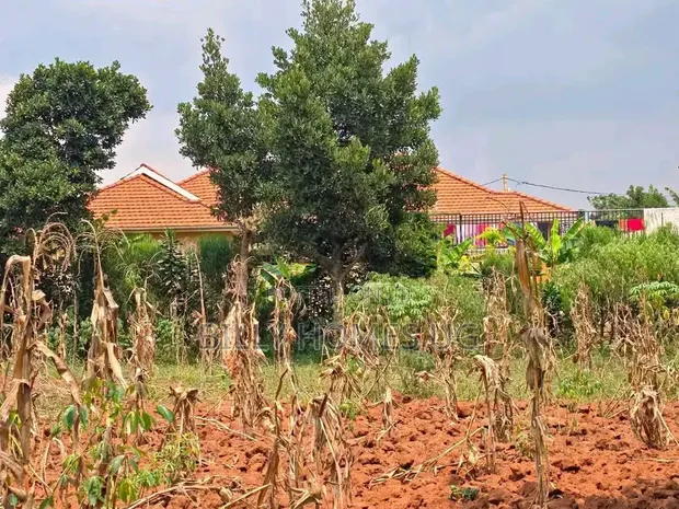 Quick Sale Plot in Kira-Kiwologoma - 1
