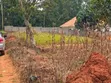 Quick Sale Plot in Kira-Kiwologoma - 2