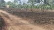 300 Acres Farmland for Sale in Kayunga Balla - 1